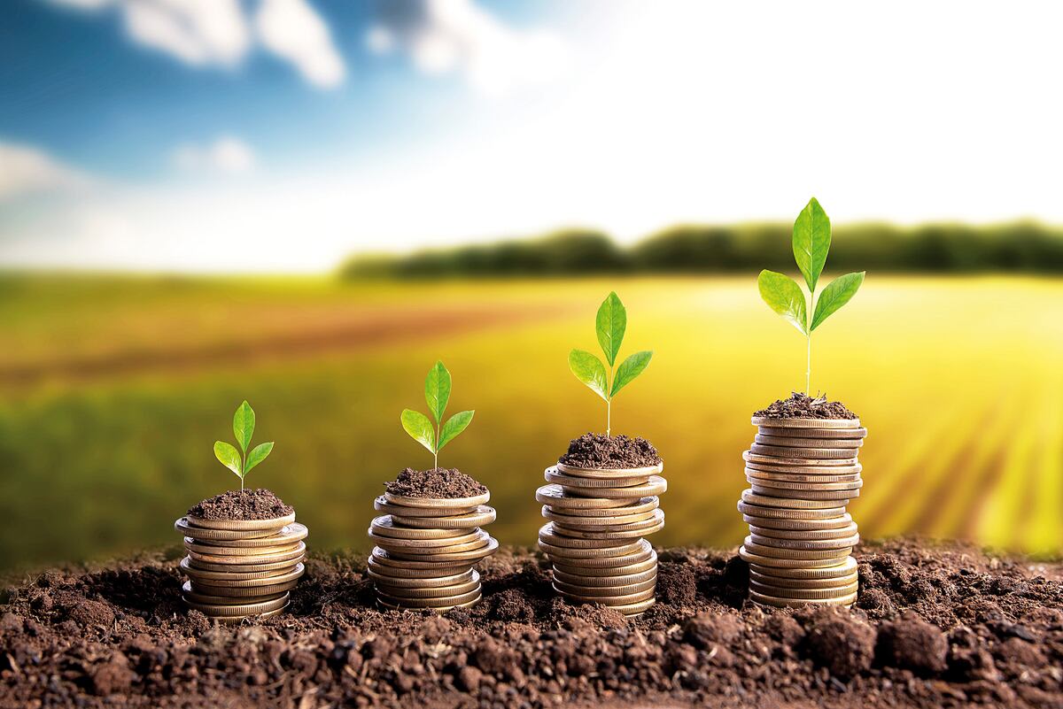 Sistema Financiero