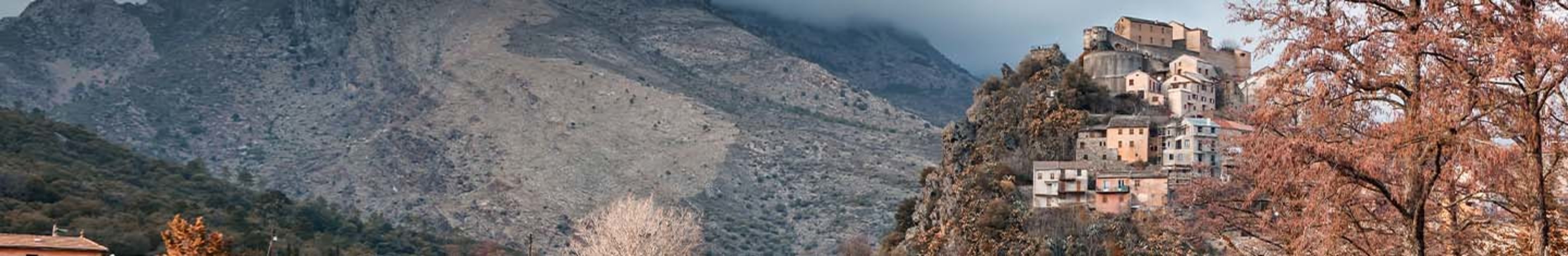 Banner -Territori
