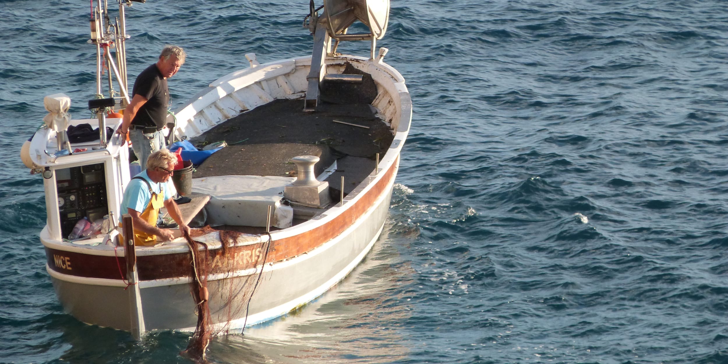 La pêche professionnelle