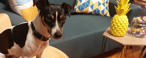 Banner - ATP FORMATION