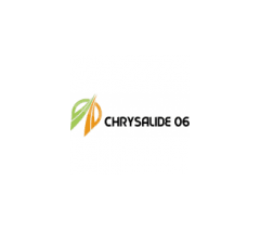 Logo - Chrysalide06