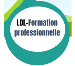 Logo - LDL-FORMATION PROFESSIONNELLE