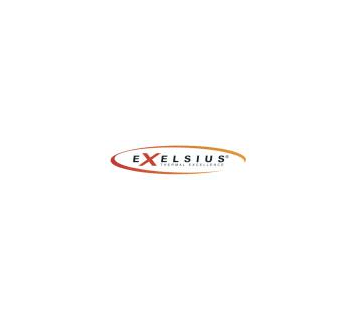 Logo - EXELSIUS