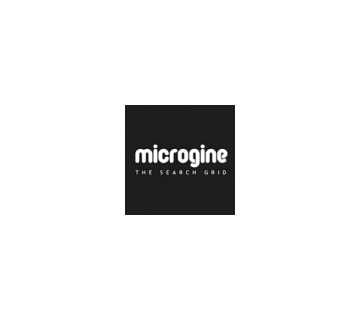 Logo - microgine