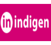 Logo - INDIGEN DIGITAL