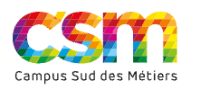 Logo - Campus Sud des Métiers