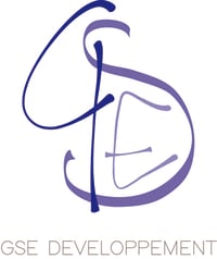 Logo - GSE DEVELOPPEMENT