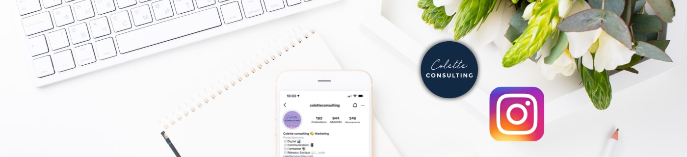 Banner - Colette Consulting