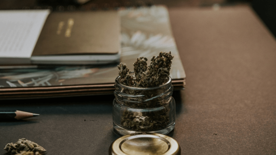 Forhandler af CBD-olie: Legalisering af medicinsk cannabis har endnu ikke afkriminaliseret hverken os eller vores produkter