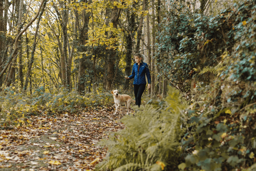 10 tips til at få en god gåtur med hunden