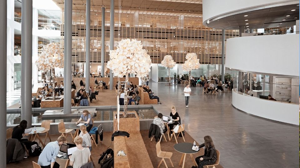 Færre og færre optages på KU