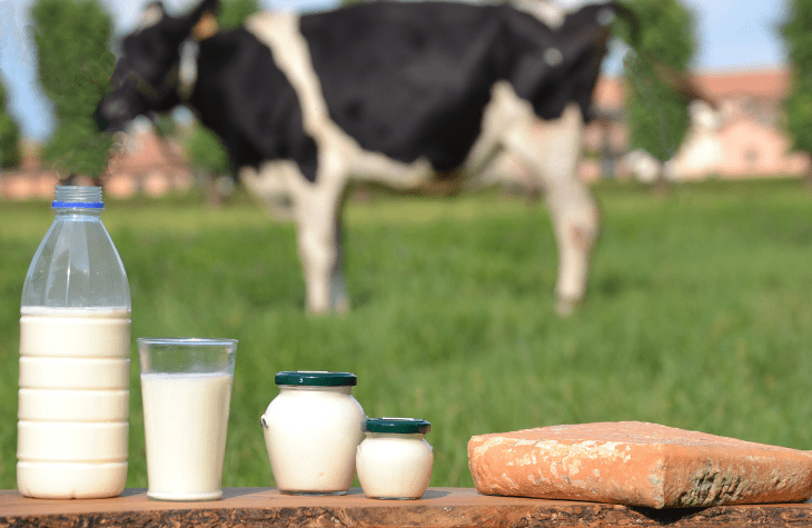 Arla skal spare milliarder