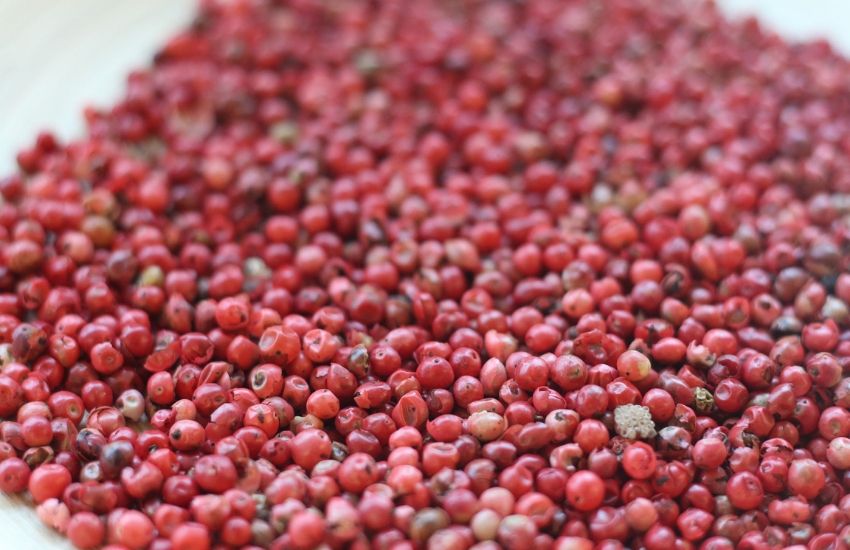 Pink Pepper