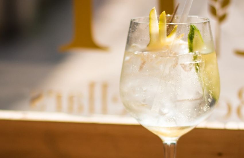 Gin Fizz