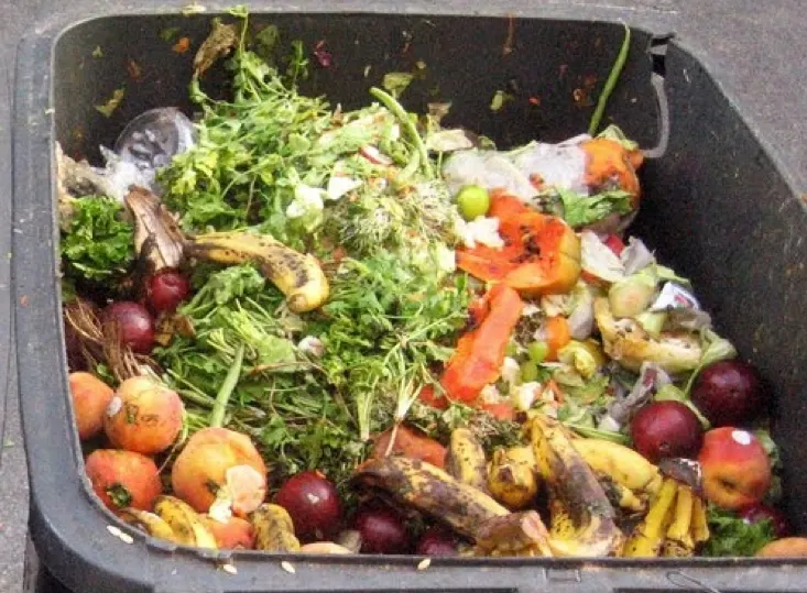 food waste in a food waste recycling bin food waste in a food waste recycling bin