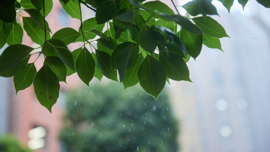 旅行中の雨の日の楽しみ方