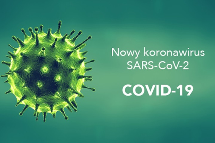 Anti-SARS-CoV-2 ELISA IgA, IgG tests