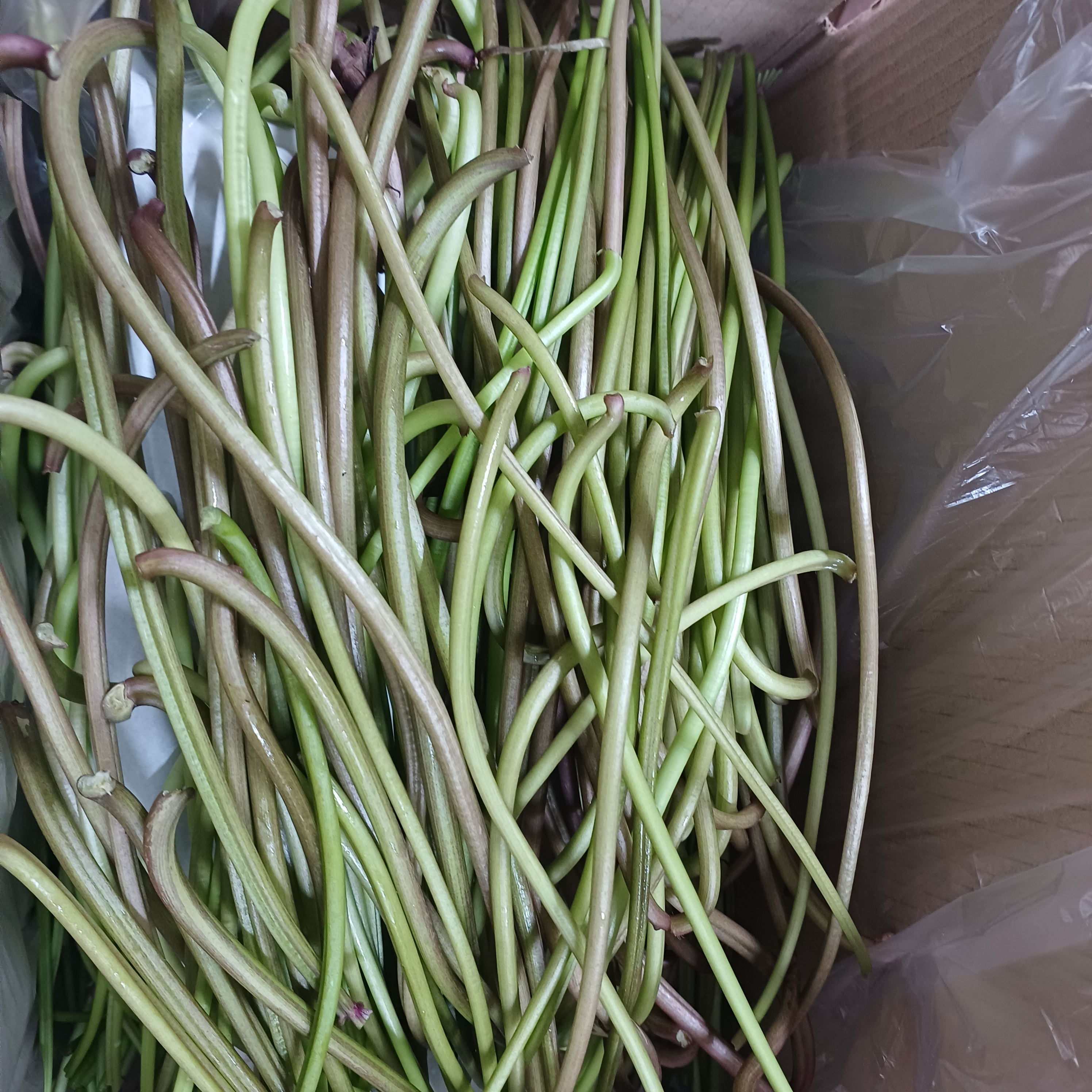 고구마순 1kg