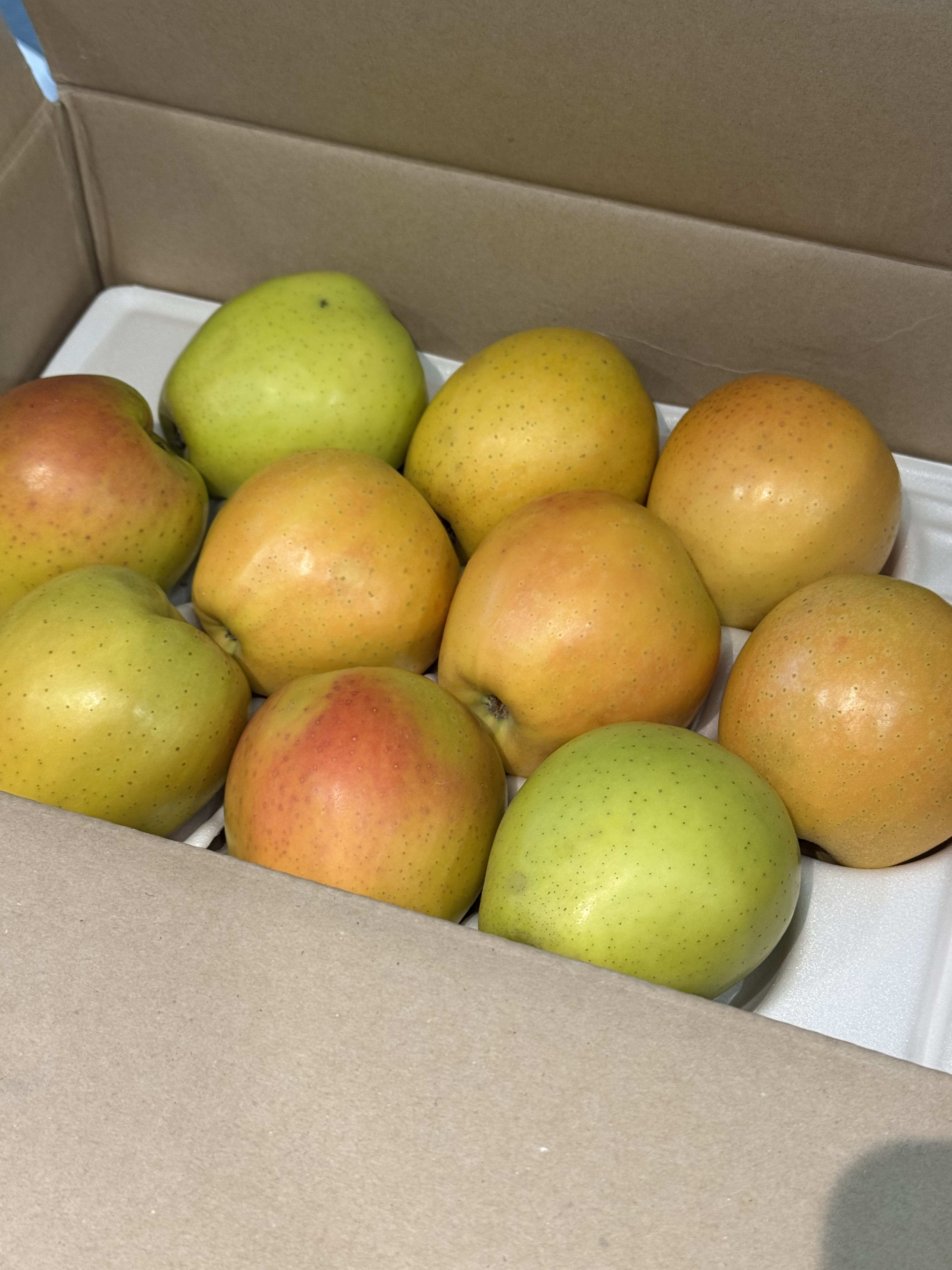 가정용 골든피치 애플 1kg (2-5과 내외)