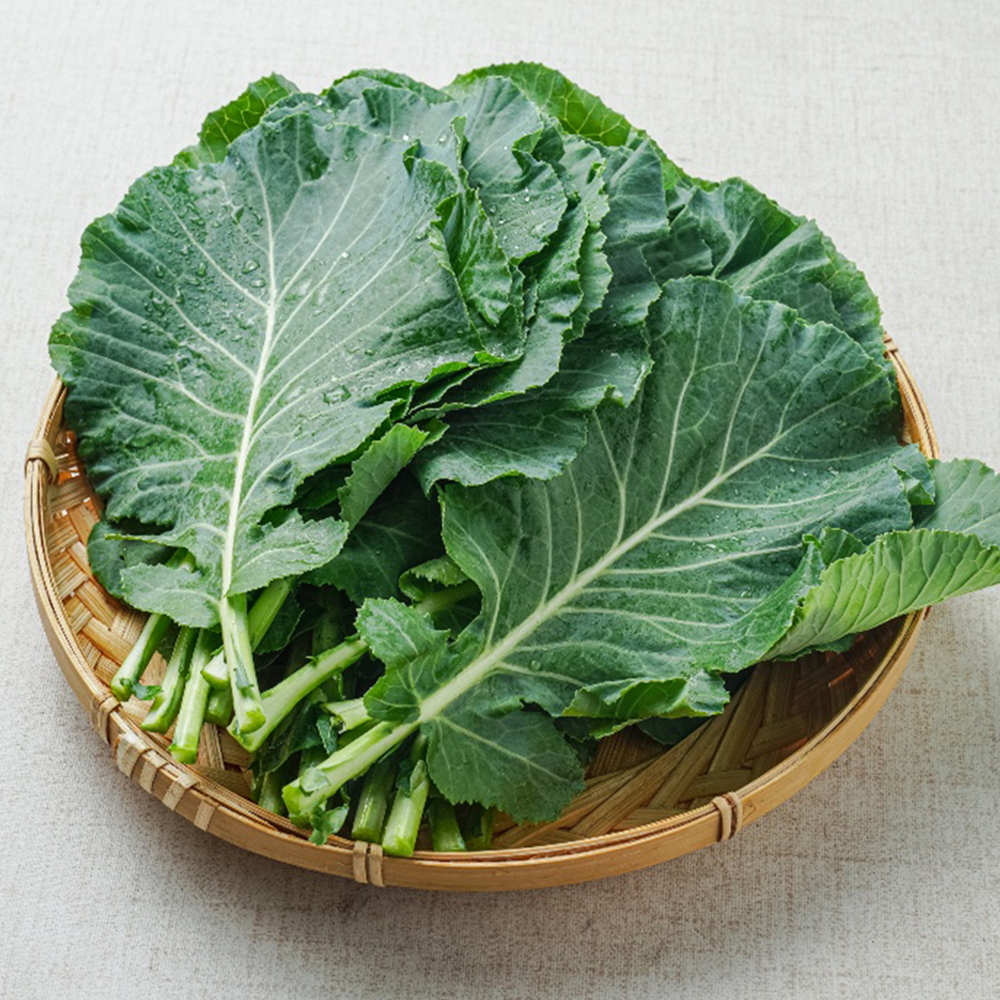 국내산 충북 케일 1kg~2kg