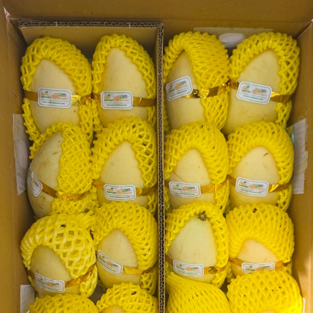 과육 좋은 깨오망고 2.5kg~5kg
