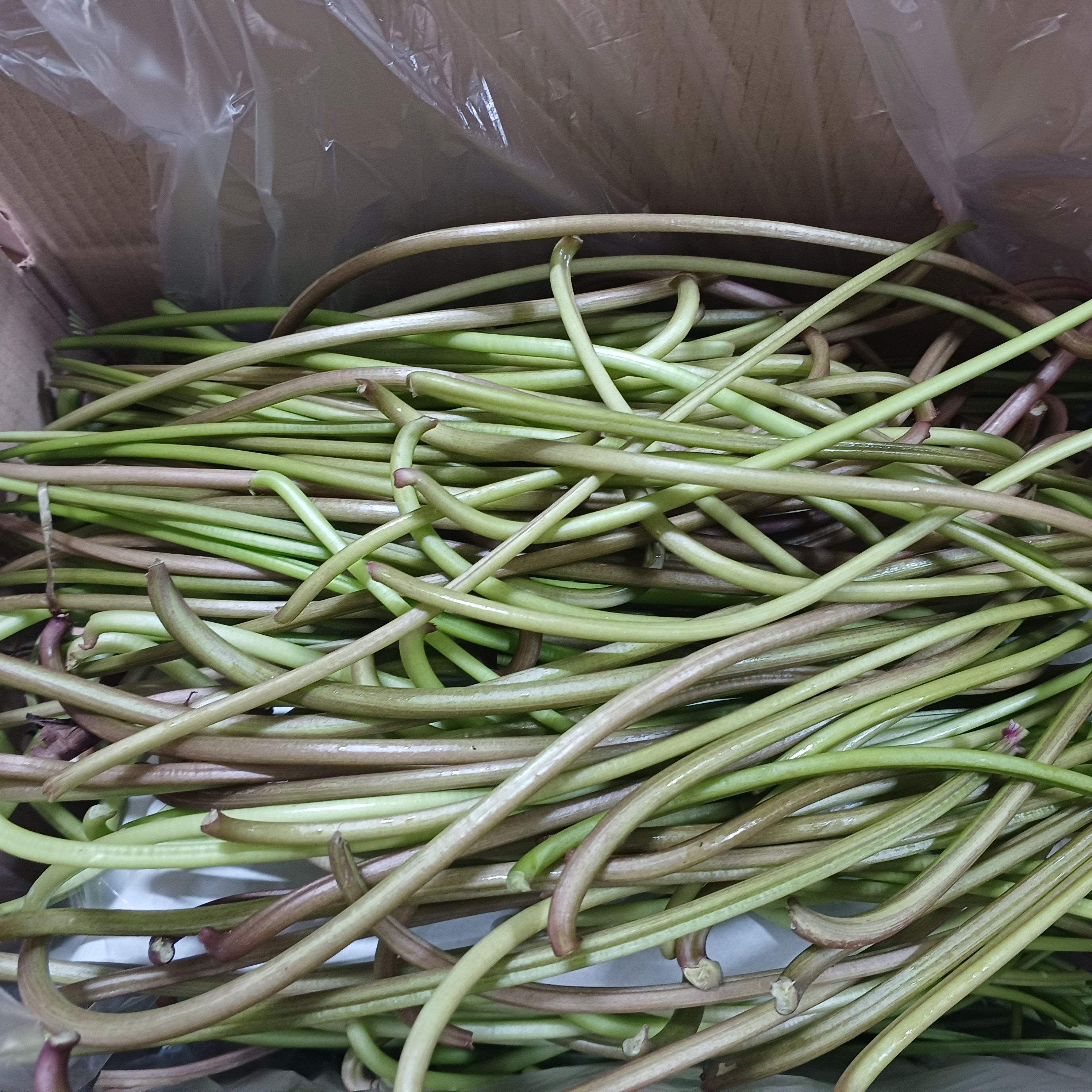 국내산 해남 아삭한 고구마순 1kg~5kg