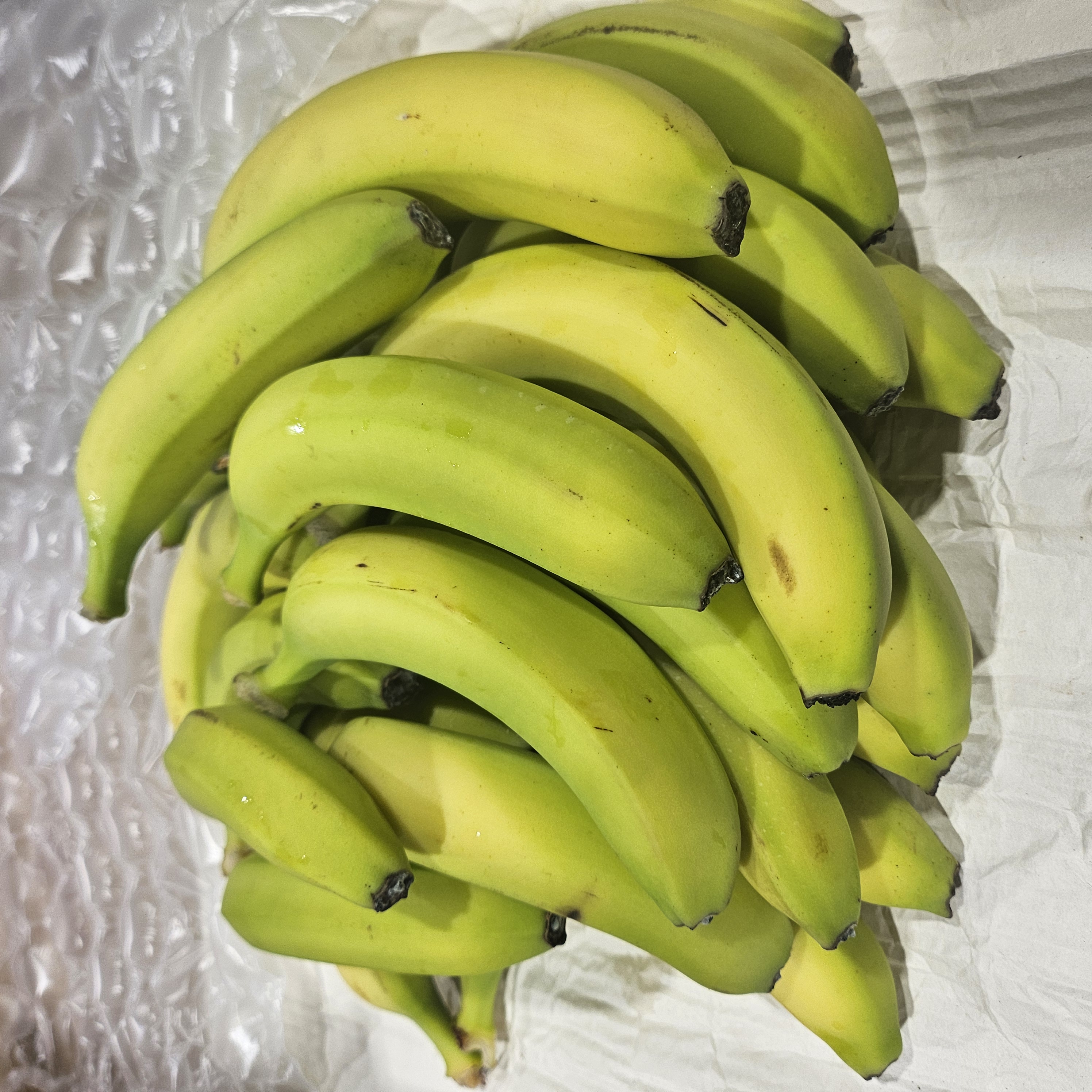 먹기좋은 낱발바나나 3kg~13kg