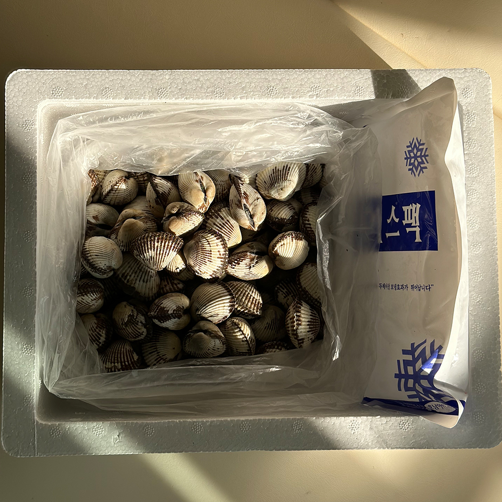 국내산 벌교 쫀득한 새꼬막 1kg (120-135미)