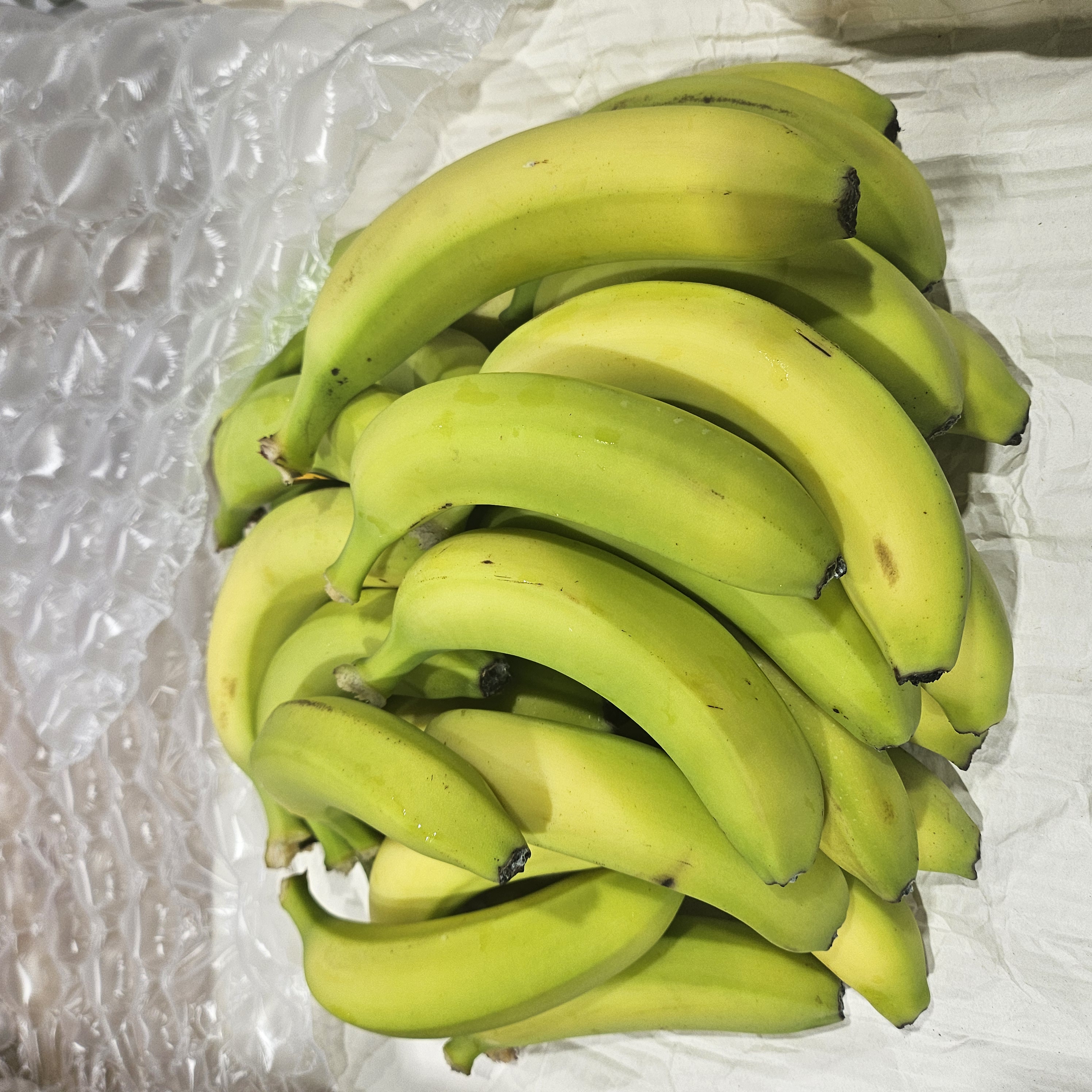 먹기좋은 낱발바나나 3kg~13kg