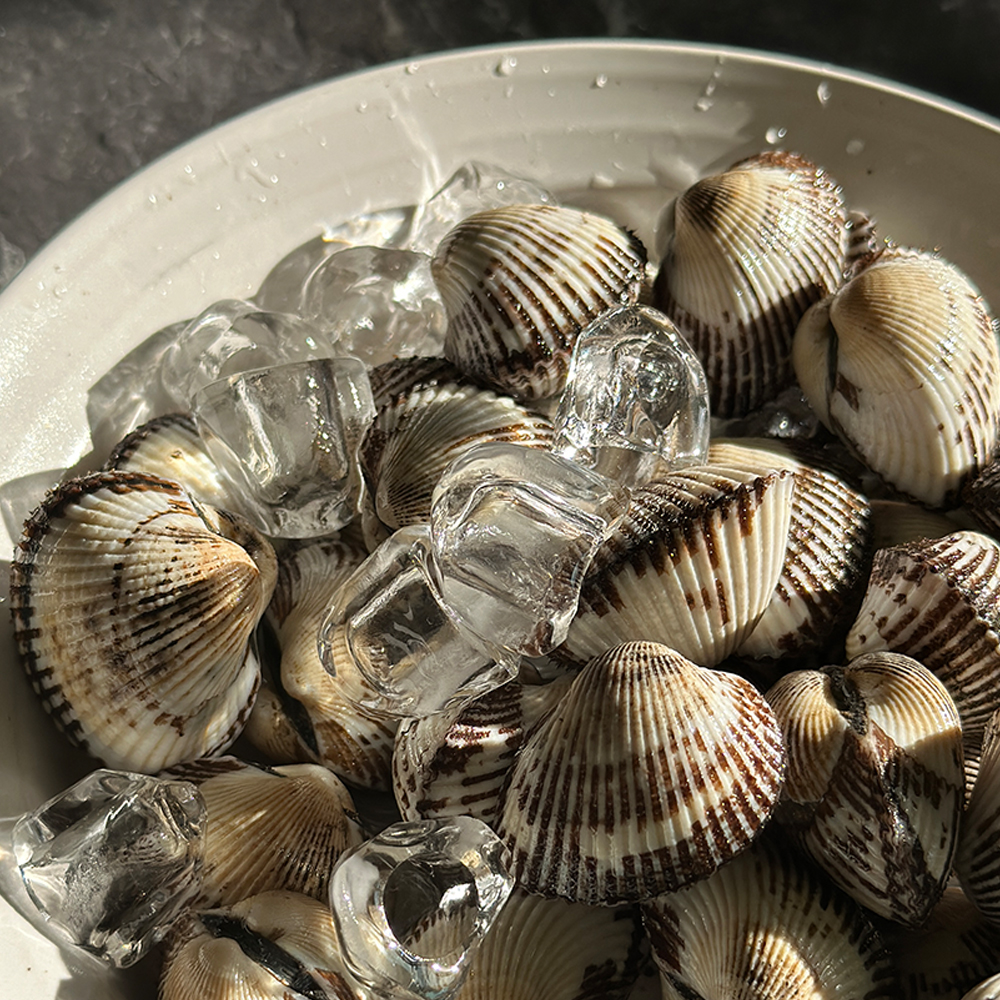 국내산 벌교 쫀득한 새꼬막 1kg (120-135미)