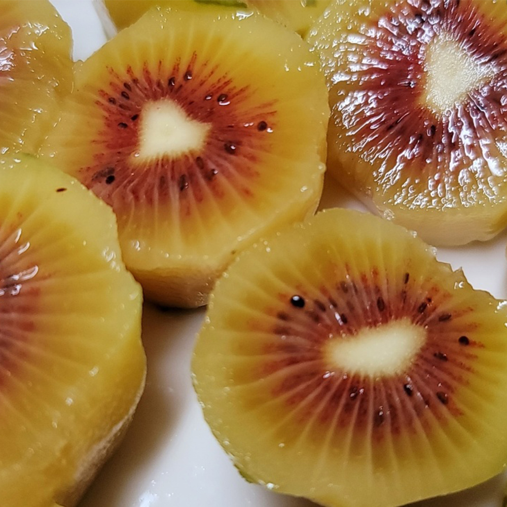 국내산 제주도 새콤달콤 제주 레드키위 2kg~5kg