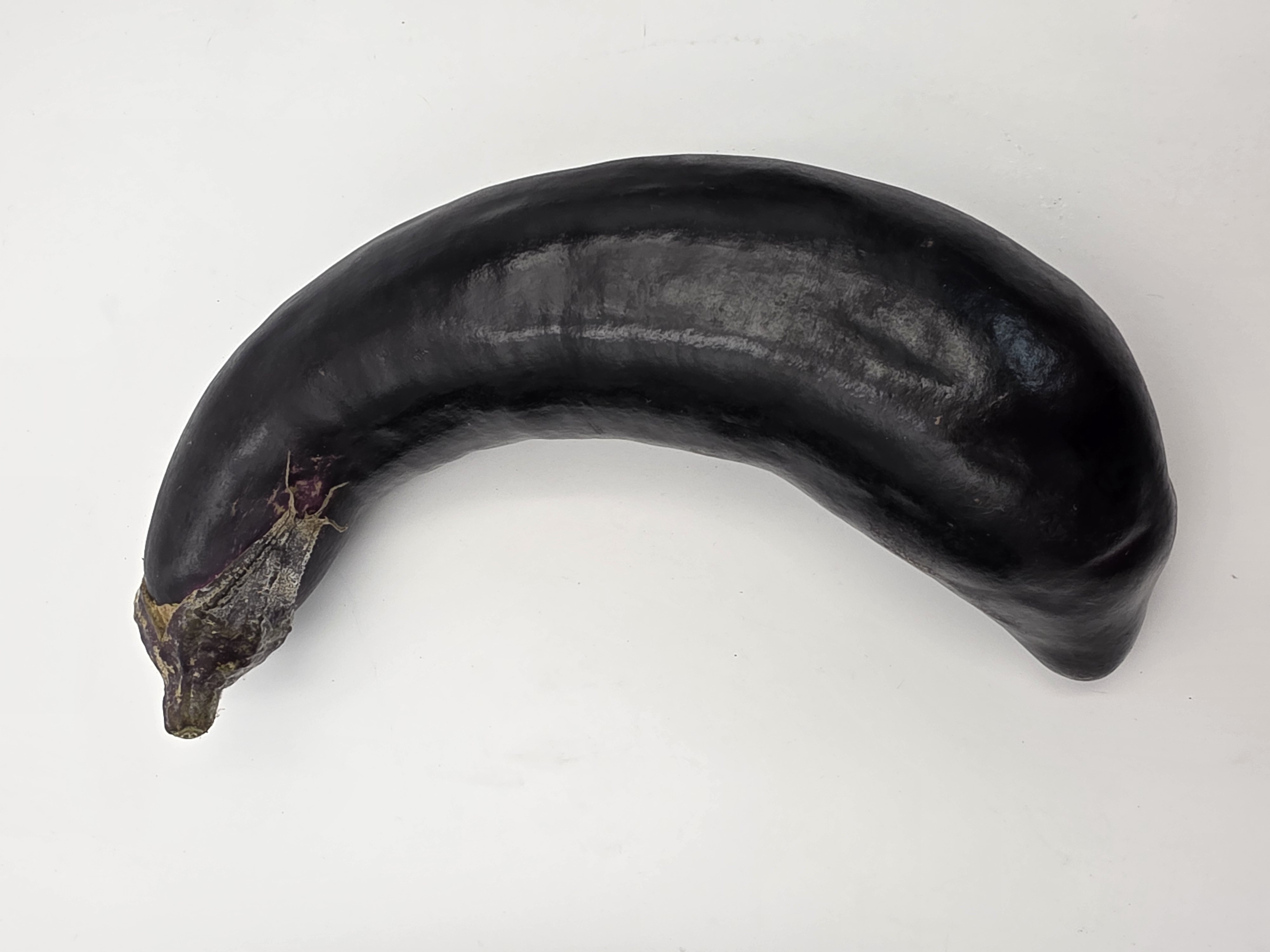 부드러운 가지 1kg~8kg