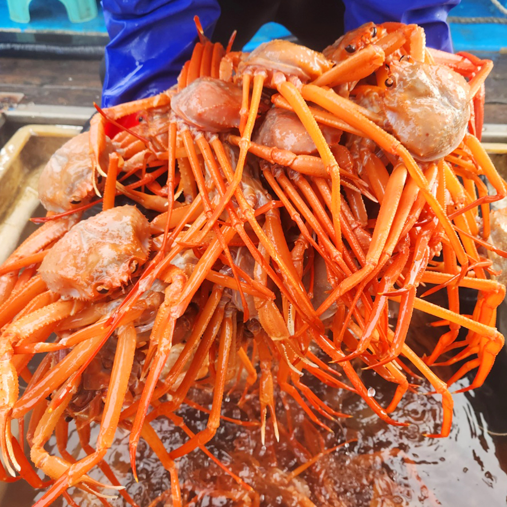 달큰한 속살 포항 자숙 홍게 3kg~6kg