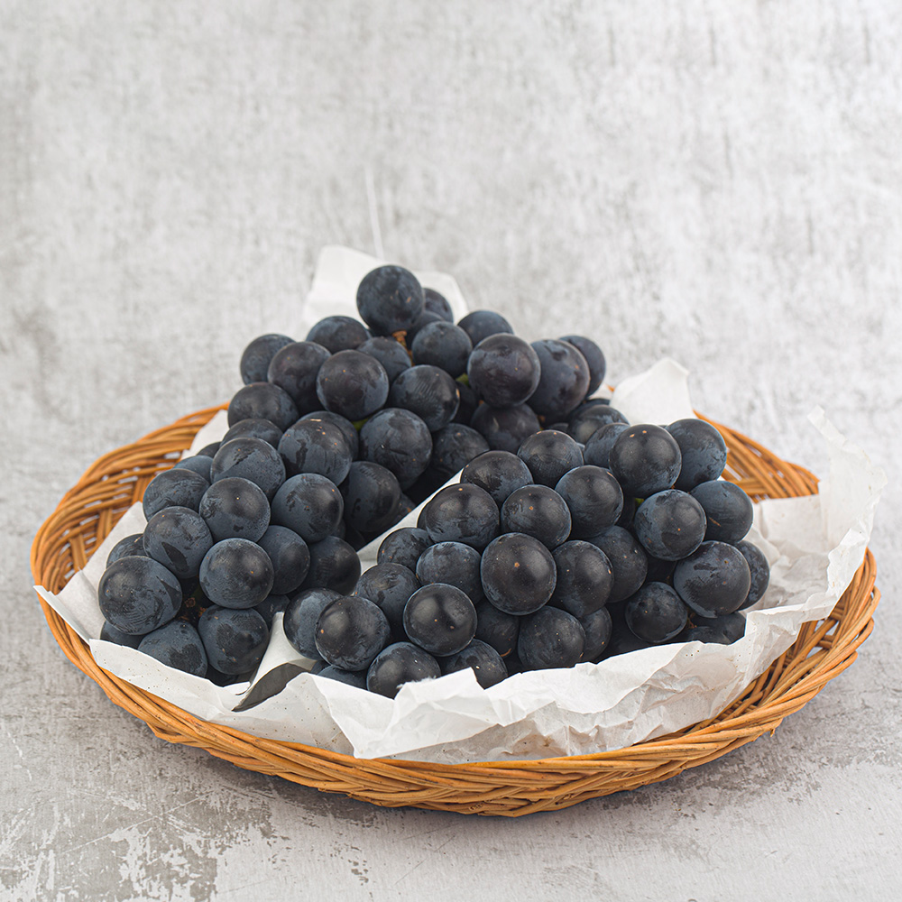 국내산 김천 달콤한 캠벨포도 500g~3kg