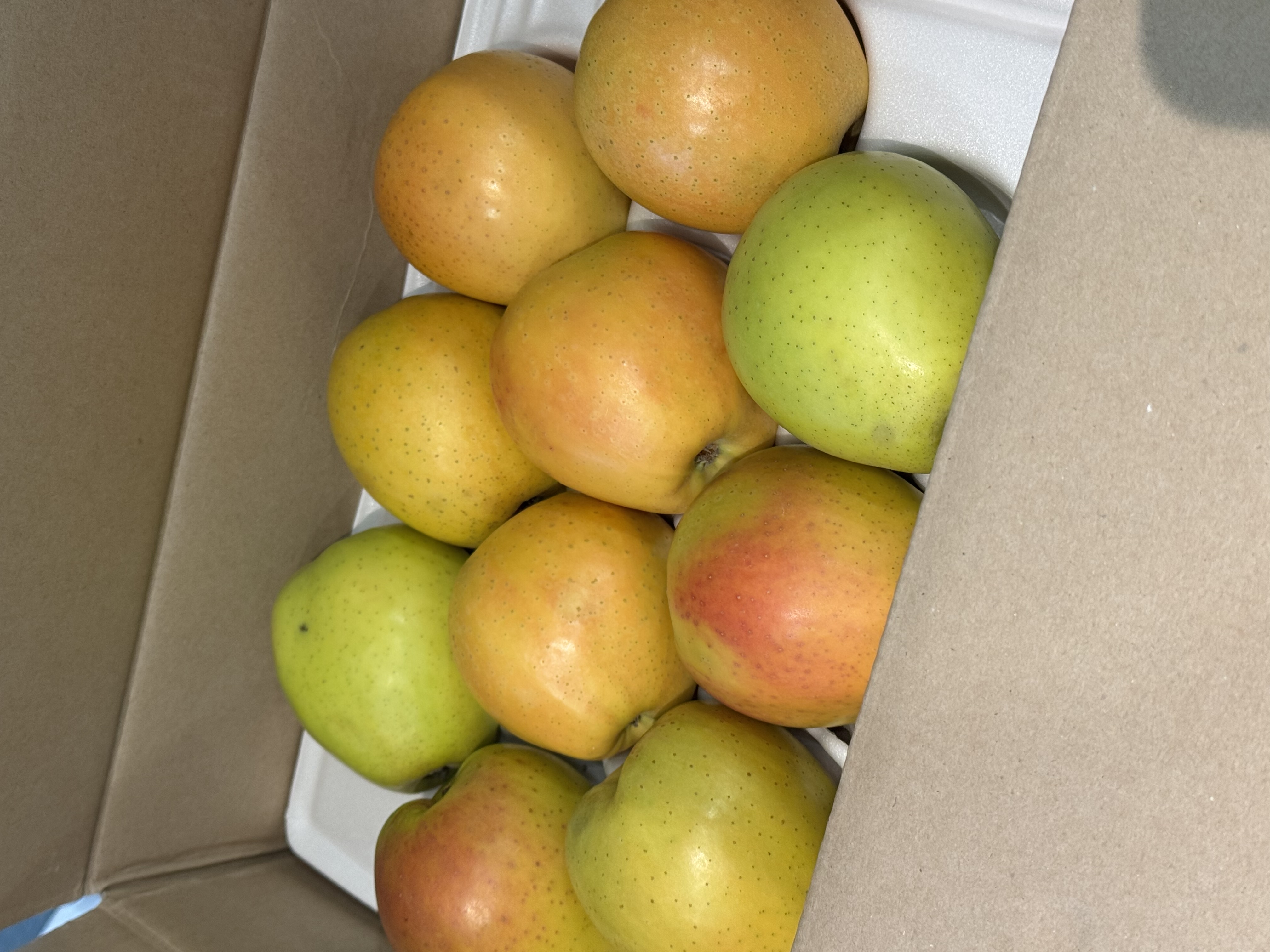 국내산 경북 골든피치 애플 1kg~5kg