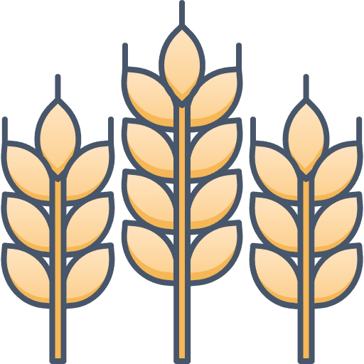 fiber
