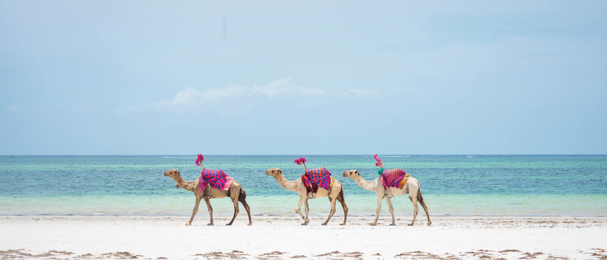 Hurghada