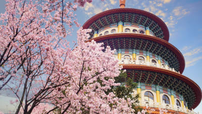 Brussels - Taipei