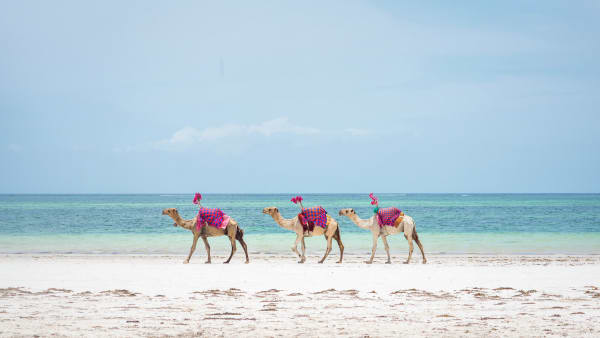 Hurghada