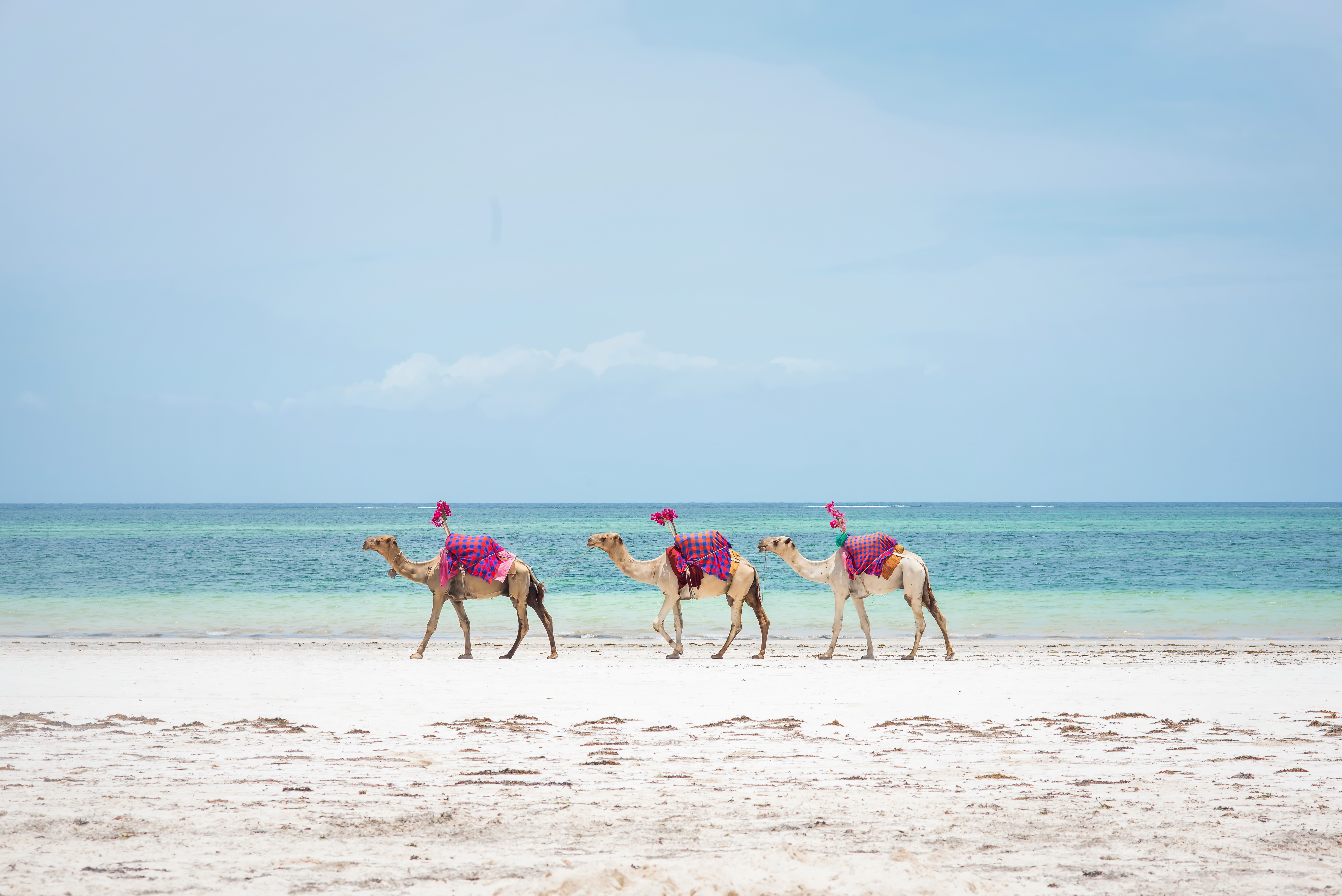 Hurghada