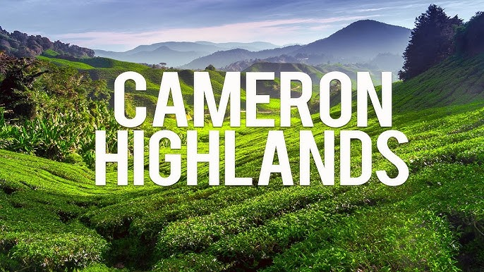 Cameron Highlands