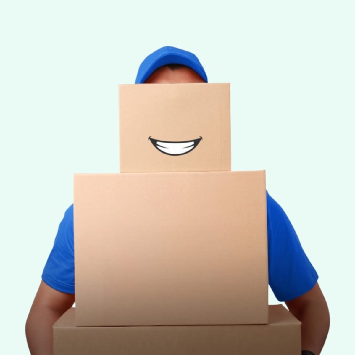 box plane