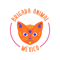 Brigada Animal Mexico
