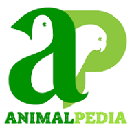 Animalpedia
