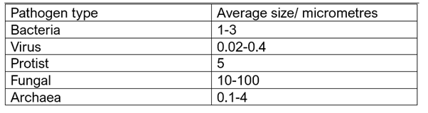 A table with numbers and letters

AI-generated content may be incorrect.