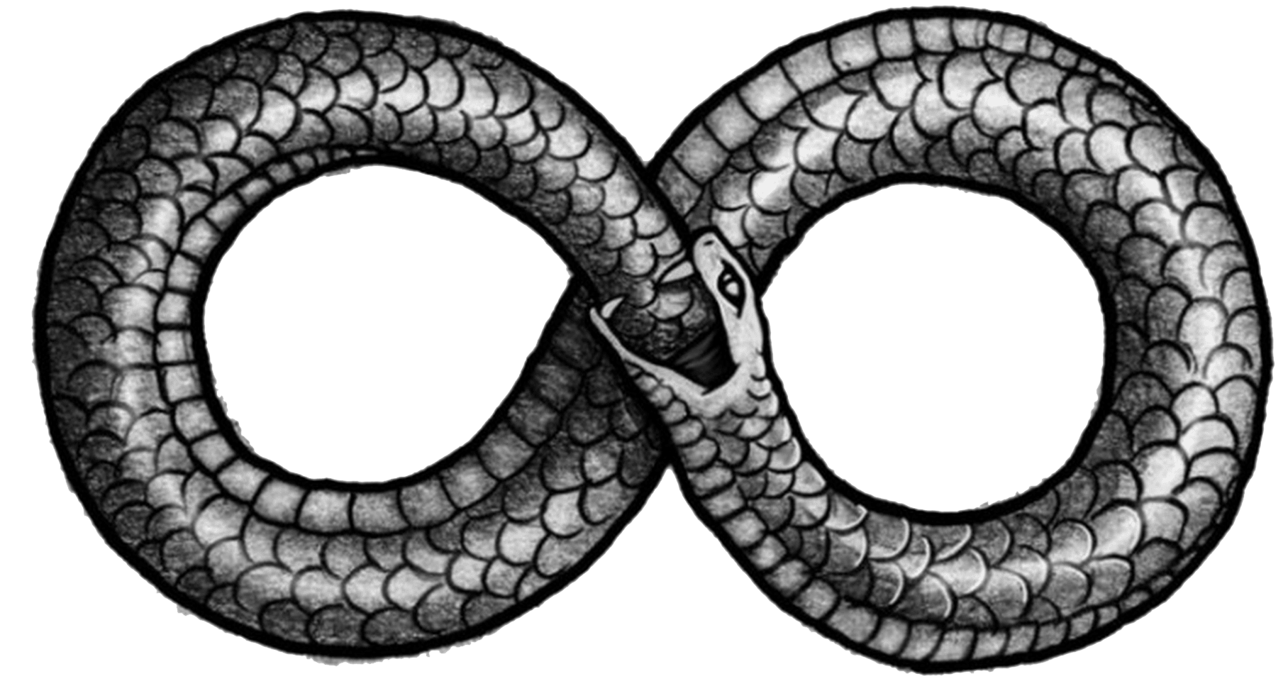 Ouroboros PNG Transparent Images | PNG All