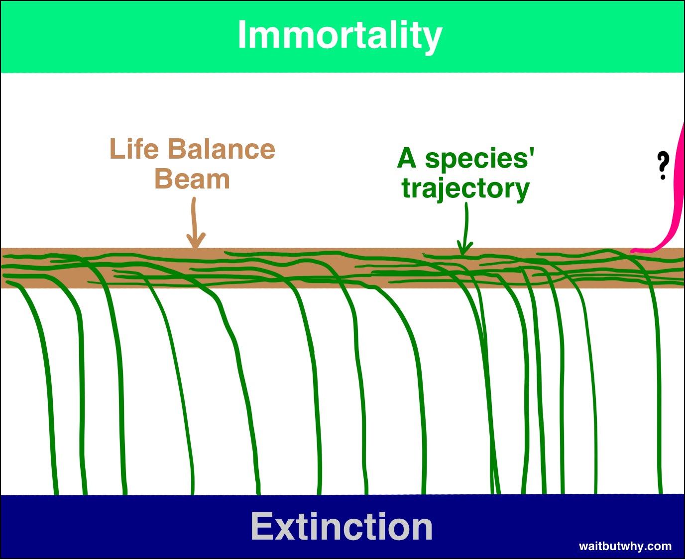 beam2