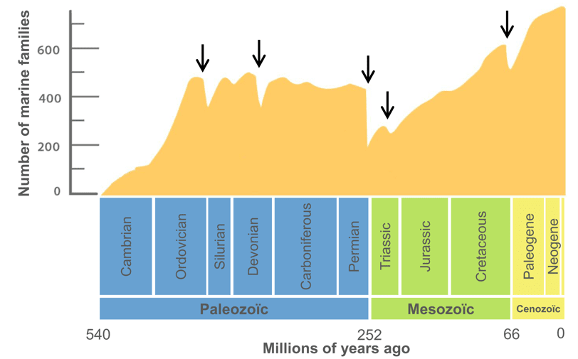The collapse of biological systems and the sixth mass extinction in figures  and graphs | Planet of the humans | Anthropocene website