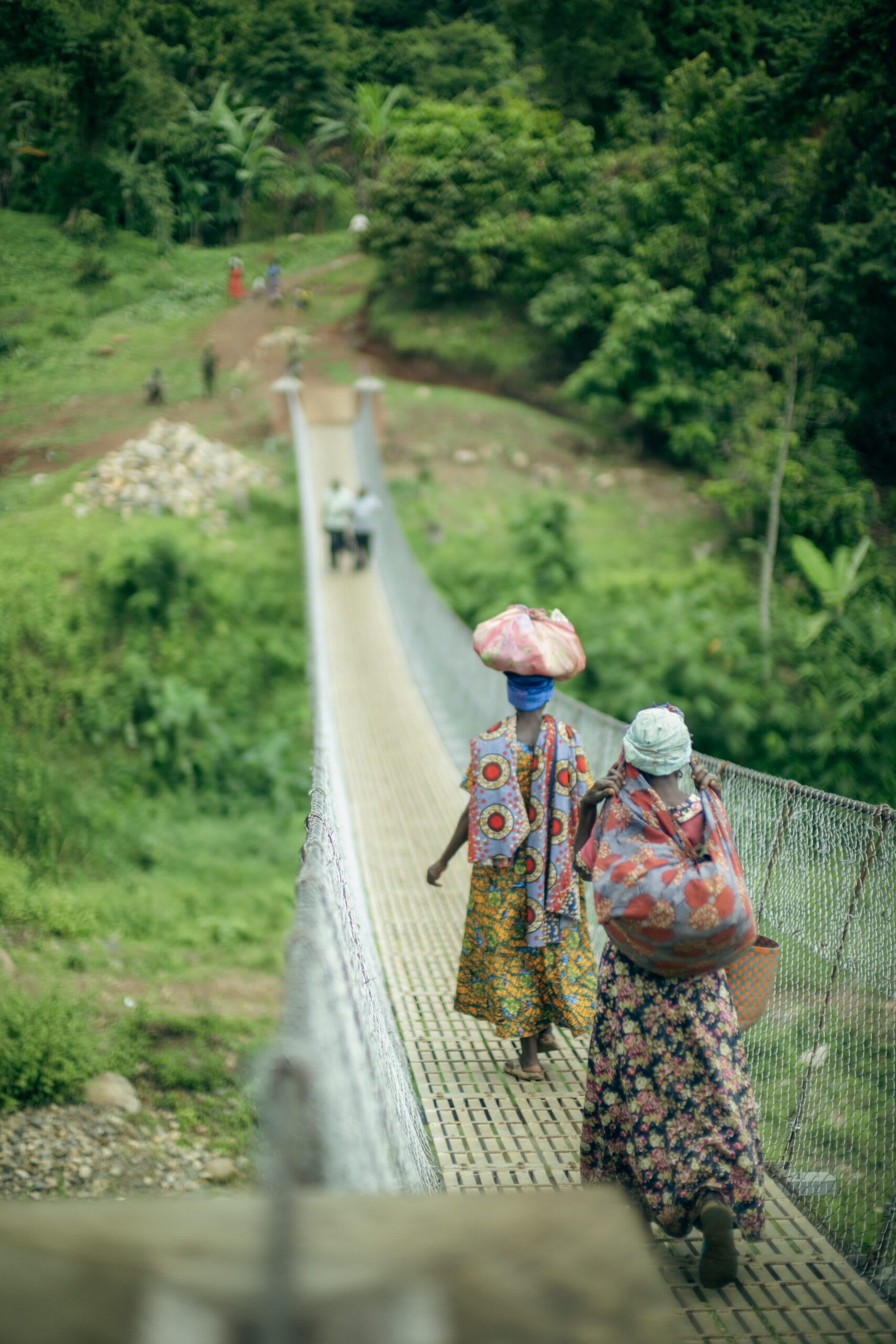 Tokwe trail bridge in Uganda.