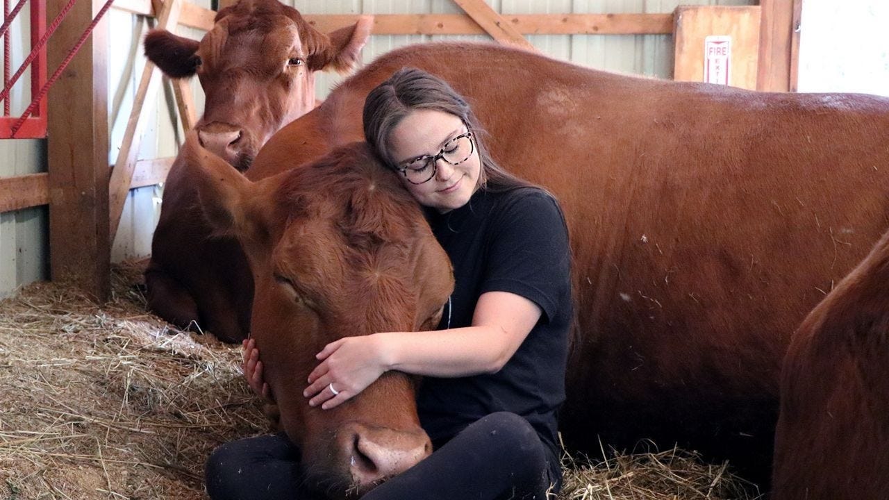 The Gentle Barn rescues animals, offers animal therapy